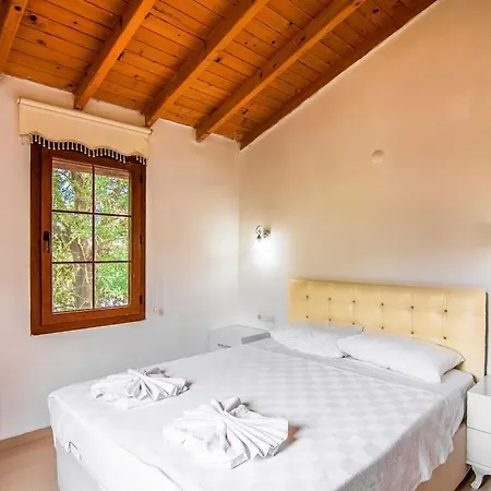 Kayakoeyde 8 Kisilik Havuzlu Muhafazakar Belen (Fethiye)